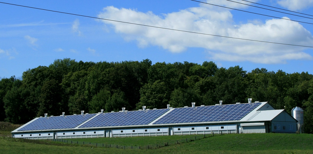 roof condition