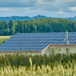 solar rooftops
